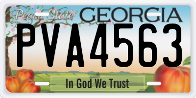 GA license plate PVA4563