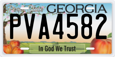GA license plate PVA4582