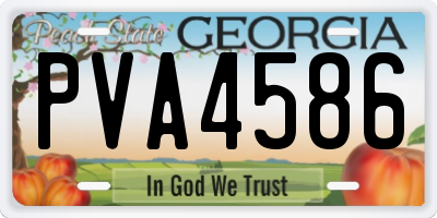 GA license plate PVA4586
