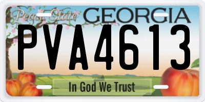 GA license plate PVA4613