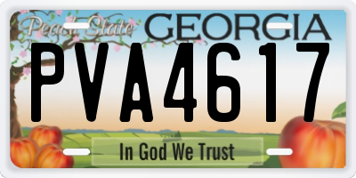 GA license plate PVA4617