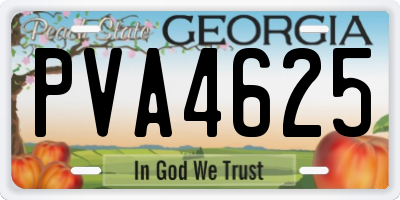 GA license plate PVA4625
