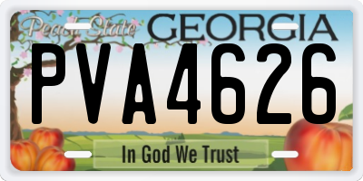 GA license plate PVA4626