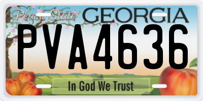 GA license plate PVA4636