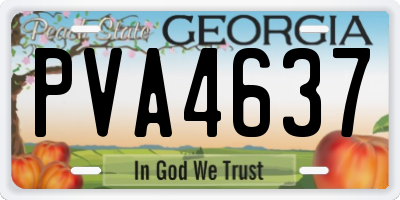GA license plate PVA4637