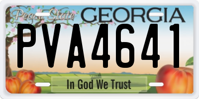GA license plate PVA4641