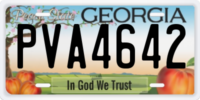 GA license plate PVA4642