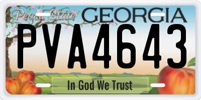 GA license plate PVA4643