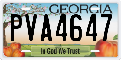GA license plate PVA4647