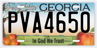 GA license plate PVA4650