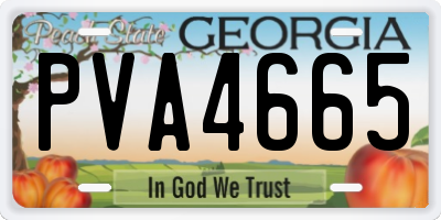 GA license plate PVA4665