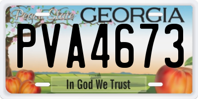 GA license plate PVA4673
