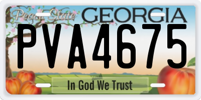 GA license plate PVA4675