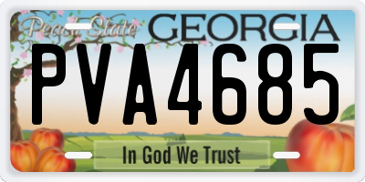 GA license plate PVA4685