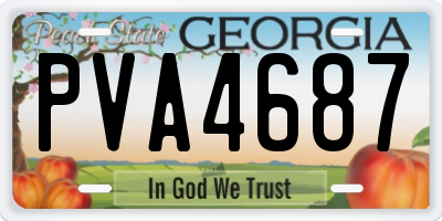 GA license plate PVA4687