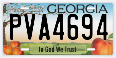 GA license plate PVA4694