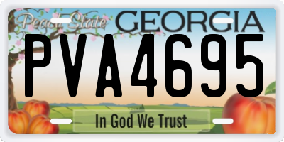 GA license plate PVA4695