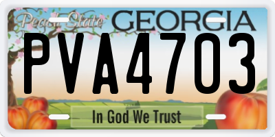 GA license plate PVA4703
