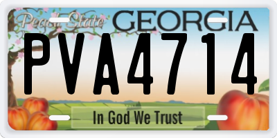 GA license plate PVA4714