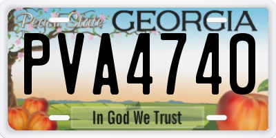 GA license plate PVA4740
