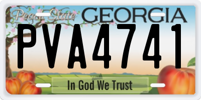 GA license plate PVA4741