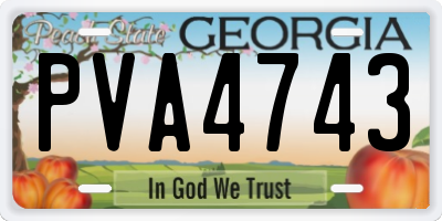 GA license plate PVA4743