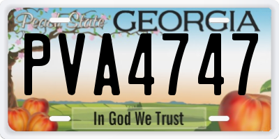 GA license plate PVA4747