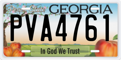 GA license plate PVA4761