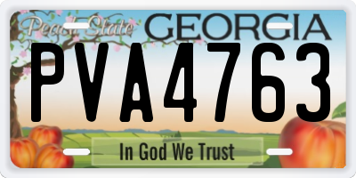 GA license plate PVA4763