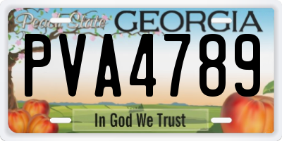 GA license plate PVA4789
