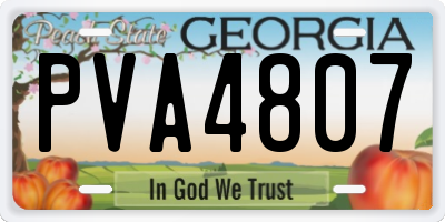 GA license plate PVA4807