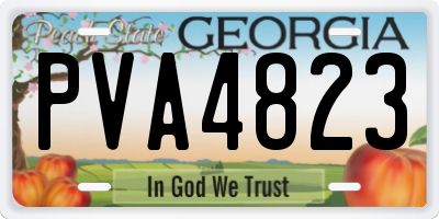 GA license plate PVA4823