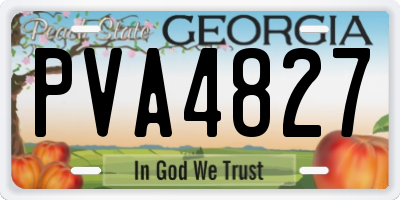 GA license plate PVA4827