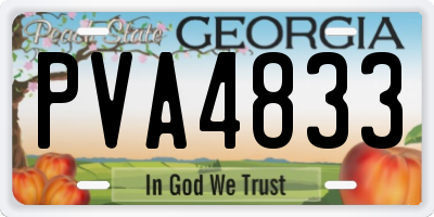 GA license plate PVA4833