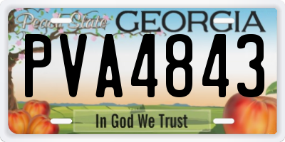 GA license plate PVA4843