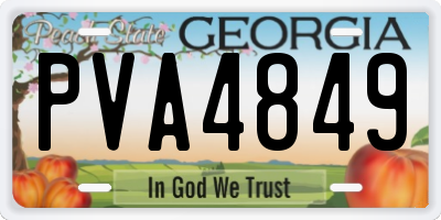 GA license plate PVA4849