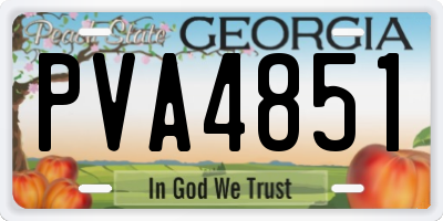GA license plate PVA4851