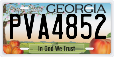 GA license plate PVA4852