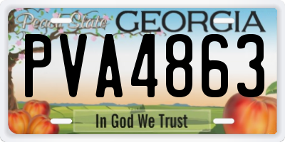 GA license plate PVA4863