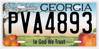 GA license plate PVA4893