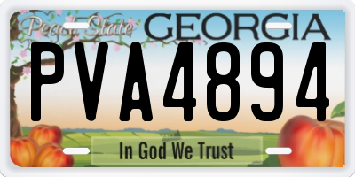 GA license plate PVA4894
