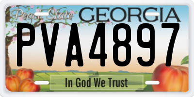 GA license plate PVA4897