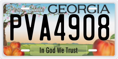 GA license plate PVA4908