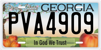 GA license plate PVA4909