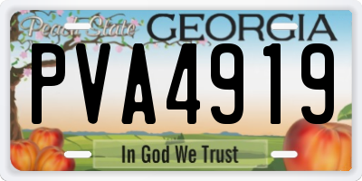 GA license plate PVA4919