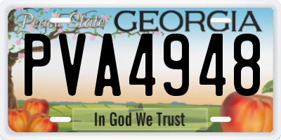 GA license plate PVA4948