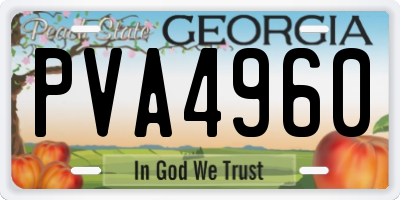 GA license plate PVA4960