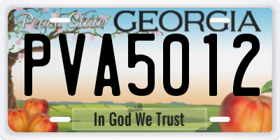 GA license plate PVA5012