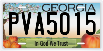 GA license plate PVA5015