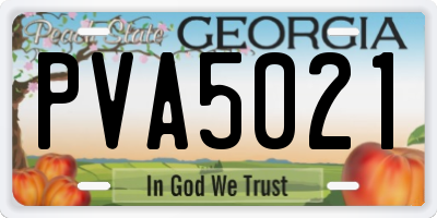 GA license plate PVA5021